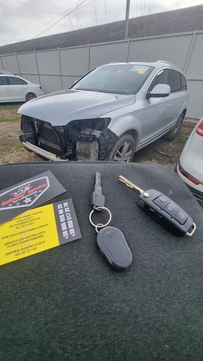 Autoschlüssel-Notdienst am Fahrzeug
